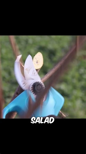 Electric Tree Pruner – An Easy Way to Cut Tree Branche #shorts