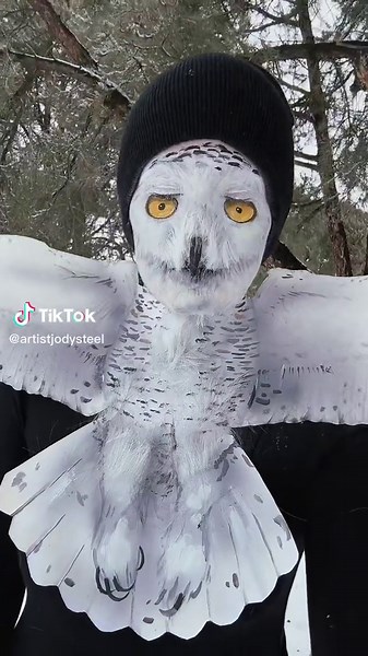 Snowy Owl Makeup Tutorial