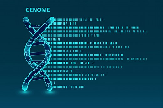 What is MTHFR | MTHFR Support Australia