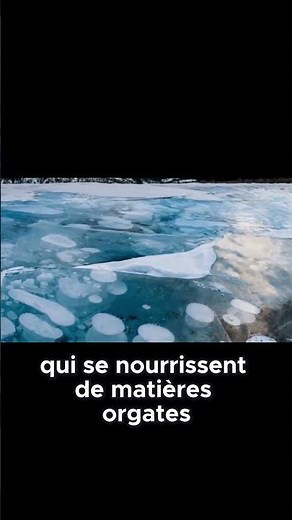 Pourquoi le lac Abraham a-t-il des bulles gelées incroyables ?