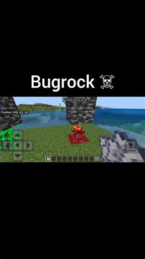 Bugrock ☠️ #minecraft #minecraftmemes
