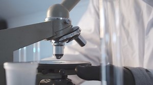 Closeup of a man in a laboratory setting up a microscope over a glass slide. Research Work in a scientific laboratory. Human hands in protective rubber gloves