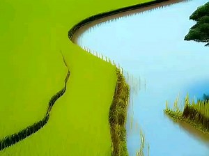 蛋糕我都要吃掉