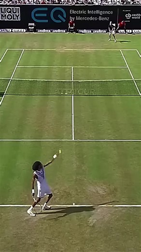 Top Dustin Brown Tennis Trickshots Ranked