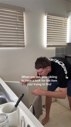 Searching for Lost Items: Sibling Help