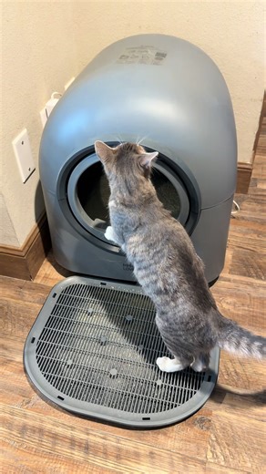 Amazing Automatic Litter Box by HHOLOVE