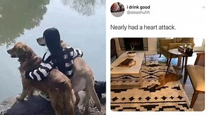 20 Photos With Confusing Perspectives And Whole New Meanings