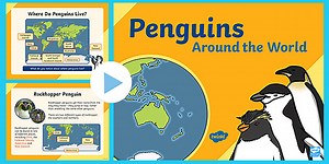 KS1 Penguins Around the World PowerPoint