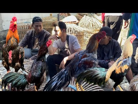 Bekonang Market, Sukoharjo, Central Java, boss, it's full of good things, lots of choices.