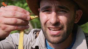 On this episode Coyote discovers an extremely deadly Sea Snake marooned in a shallow tide pool! Capable of killing a human being with a single bite, the Yellow-Bellied Sea Snake is one of the worlds most toxic reptiles! So when Coyote handles one for the first time he has to be more careful than EVER…one “slip” and it could be all over for him in the blink of an eye! Scary stuff! So will Coyote survive yet another deadly encounter or will his luck run out? Get ready to see what happens on this v