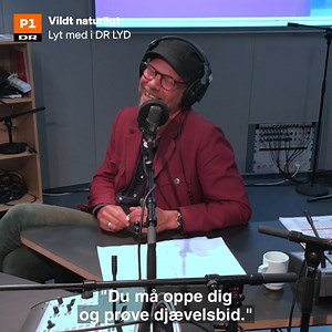 5.3K views · 61 reactions | Hvad har ålen, hasselmusen og sildehajen...