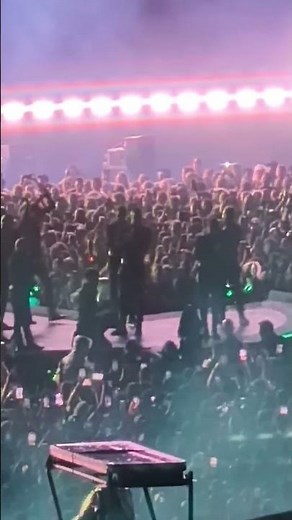 Lady Gaga stops show to help injured dancer