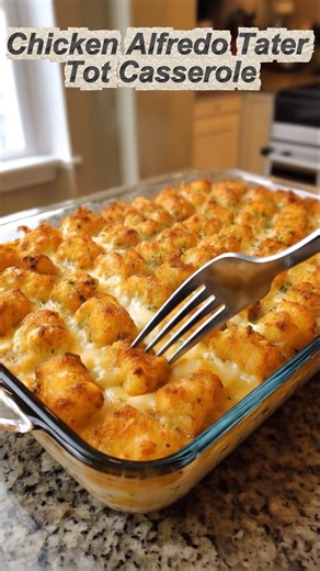 quotidian recipes on Instagram: "Chicken Alfredo Tater Tot Casserole Creamy Alfredo and crispy tater tots make this a comforting, easy dinner. Ingredients: 2 cups cooked, shredded chicken 1 jar (15 oz) Alfredo sauce 1/2 cup sour cream 1/2 tsp garlic powder 1/2 tsp black pepper 1.5 cups shredded mozzarella or Monterey Jack cheese 1 bag (32 oz) frozen tater tots Butter or cooking spray Instructions: Preheat oven to 375°F (190°C). Grease a 9x13-inch baking dish. Mix filling: In a large bowl, combin