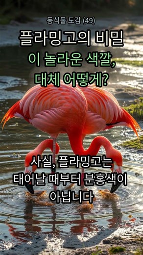 49. 🤯 The shocking truth hidden by flamingos! 💖 Do you know the secret behind this color? #Flamin...