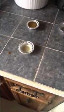 How to make your own bow string wax