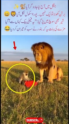 Monkey Magic Surprise 😂 Lion Shocked by Cute Cubs #Funny #Viral