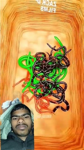 How Hidden Pit Traps Work #shorts #shortvideo #ytshorts #facts