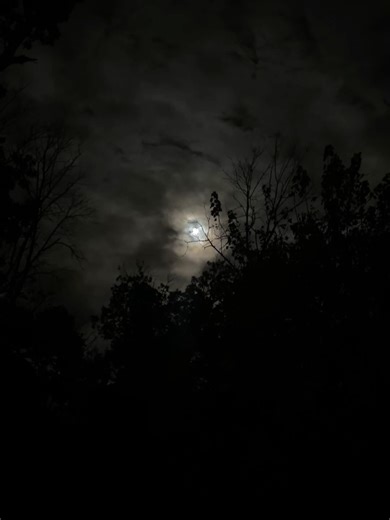 christian french on Reels