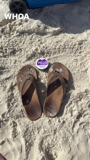 Spring Break Adventures in Gulf Shores