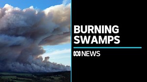 VIDEO: Conservationists, scientists demand answers over prescribed burning of important swamps