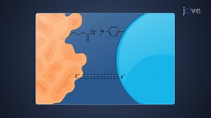 Video: Protein-Drug Binding: Mechanism and Kinetics