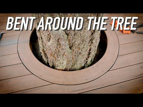 Build Update: Around The Tree || Dr Decks