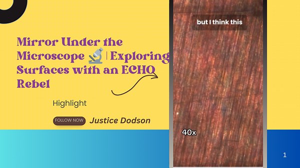 Mirror Under the Microscope 🔬 | Exploring Surfaces with an ECHO Rebel