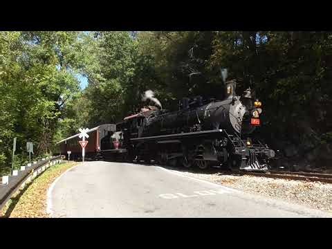 Steam Returns to the Delaware River Railroad - NYSW 142 on The Great Pumpkin Train 10/5/25