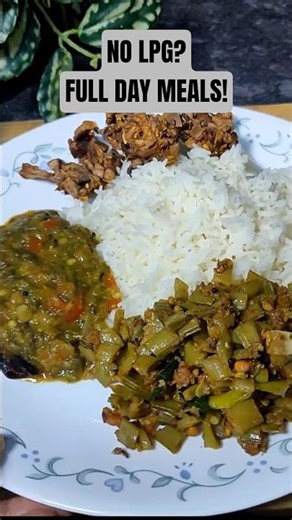 No gas cylinder… but I cooked like this for a day! | No LPG Cooking Full Day Meals