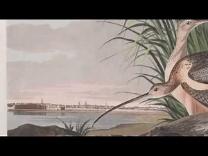 Week 20 Setting Up an Rstudio Server on Digital Ocean or EC2