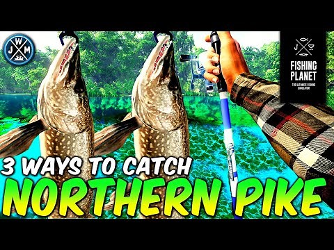 3 WAYS To Catch NORTHERN PIKE on Saint Croix Lake - Fishing Planet 2023