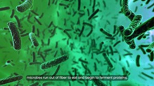 Your Poop Schedule Says a Lot About Your Overall Health, Study Shows