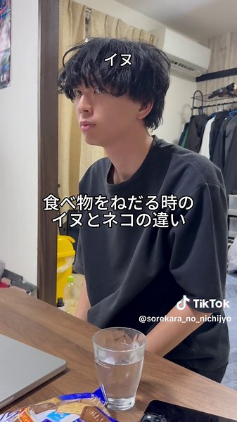 猫と犬の違いと仲良し日常