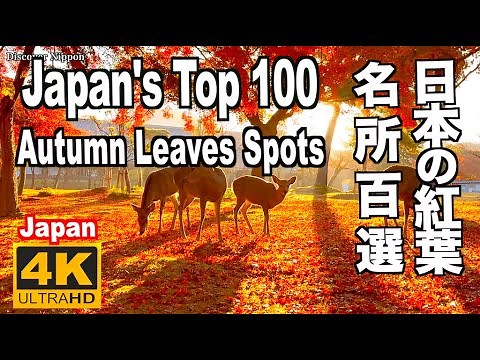 日本の紅葉名所100選 Japan's Top 100 Autumn Leaves Spots 紅葉の名所 日本の秋 絶景紅葉 紅葉スポット 全国 Autumn foliage