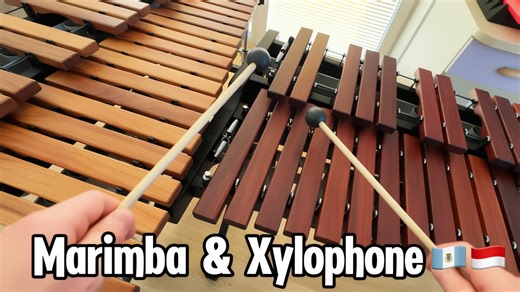 Amazon’s strangest instruments put to the test: Funny, odd, and musical chaos