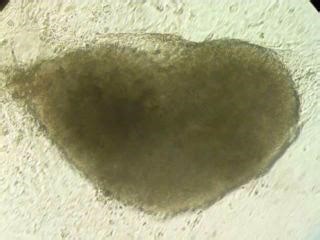 4.3K views · 153 reactions | Check out this incredible footage of a...