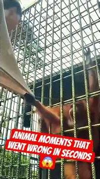Animal Kingdom Moments That Escalated Fast (Part 3) 🐊#WildAnimals #NatureVideos #AnimalPlanet