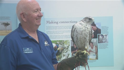 Exploring Idaho: Nation's most powerful birds flock to the Treasure Valley