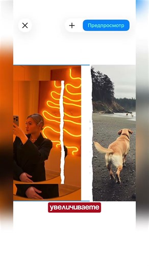 Как быстро сделать пост-карусель в приложении Зебра🎠#carousel #tutorial #instastoryidea #zebraapp