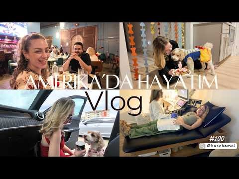 Life in America #100: Hera Turns 2! We Saw Our Baby on the Ultrasound, Anniversary, Home Renovation