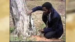 66K views · 3K reactions | Marrabenta VelhaGuarda on Reels | Facebook