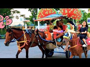 Naik delman istimewa~lagu anak populer Indonesia~lagu anak balita~delman kuda