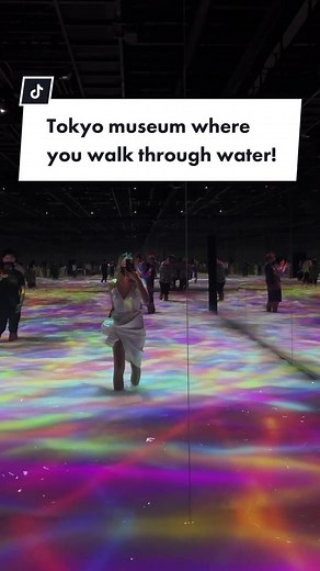 teamLab Planets: Tokyo Museum Walk Through Water