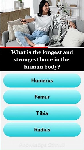 What is the longest and strongest bone in the human body?