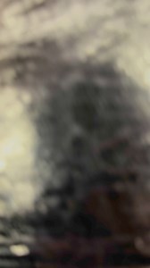 2.5K views | Eagle & Forest 礪 Incredible work by our very talented @lukaszmtattoo A tricky gap filler placement on the edge of the forearm but Lukasz smashed it!朗 | Vividink Birmingham | Facebook