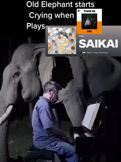 even elephant can cry #projectmoon #limbuscompany #limbuscompanymeme #limbuscompanyedit #mili #saikai #canto9
