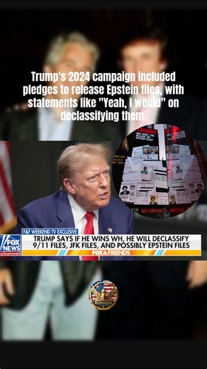Trump's 2024 campaign included pledges to release Epstein files, with statements like "Yeah, I would" on declassifying them. After election, the Epstein Files Transparency Act (signed Nov 2025) mandated DOJ disclosure, resulting in the Jan 2026 batch of over 3M pages. This reflects evolving paths to transparency in high-profile cases. Why do campaign promises on document releases sometimes shift before full implementation? #EpsteinFiles #TransparencyAct #CampaignPromises #JusticeTimeline | Bonco