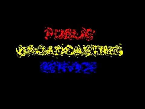 Skyoneer2007 Video REUPLOAD #16: First PBS Logo Super effects