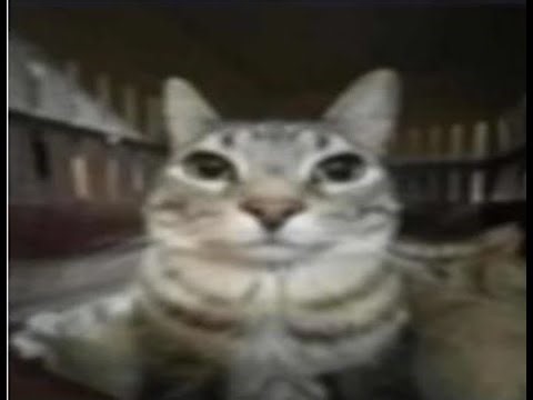 Level Request Stream | Geometry Dash