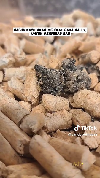 Explore Alternatives to Traditional Cat Litters